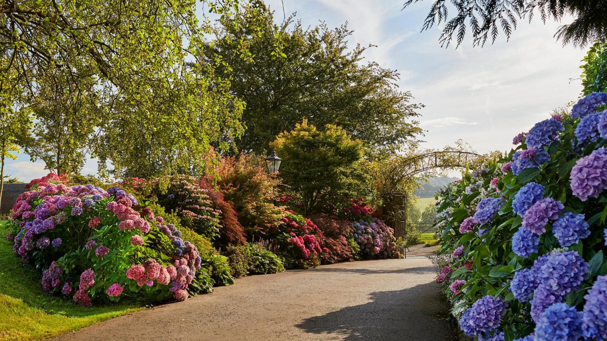 Summer Lodge Country House Hotel Evershot  Exterior photo